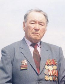 Медведев Николай Павлович