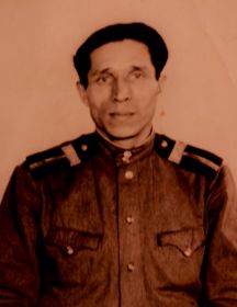 Шипицын Анатолий Николаевич