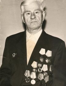 Тельминов Анатолий Иванович