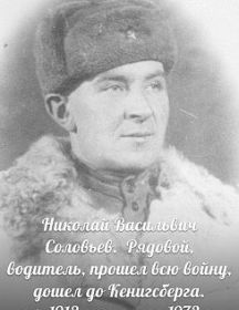 Соловьёв Николай Васильевич