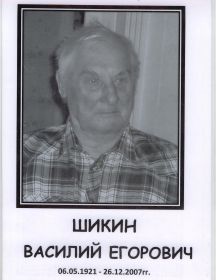 Шикин Василий Егорович