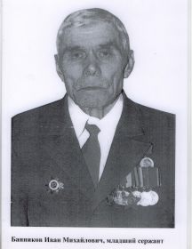 Банников Иван Михайлович
