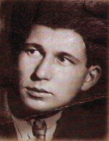 Яновский Анатолий Дмитриевич