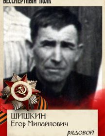 Шишкин Егор Михайлович