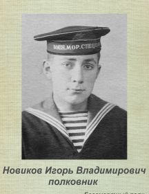 Новиков Игорь Владимирович