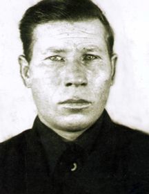 Медведев Александр Григорьевич