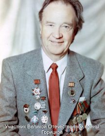 Горицков Георгий Иванович
