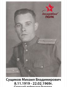 Сущиков Михаил Владимирович