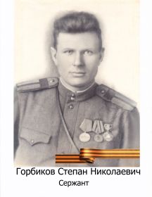 Горбиков Степан Николаевич