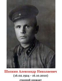 Шапкин Александр Николаевич