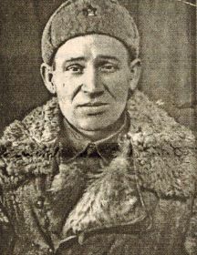 Маликов Николай Павлович
