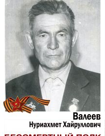 Валеев Нуриахмет Хайруллович