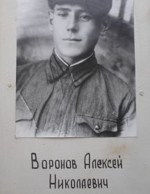 Воронов Алексей Николаевич