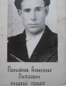 Полузеров Александр Петрович