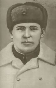 Владимир Иванович Мыза
