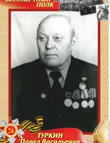 Туркин Павел Васильевич