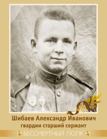 Шибаев Александр Иванович