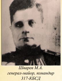 Шварев М.А.