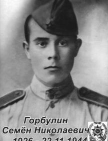 Горбулин Семен Николаевич