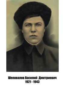 Шеповалов Василий Дмитриевич