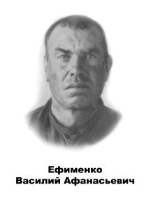 Ефименко Василий Афанасьевич