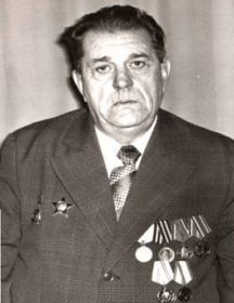 Николай  Леонидович  Скрипицын.