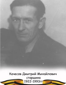 Качесов Дмитрий Михайлович