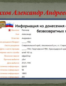 Пелихов Александр Андреевич