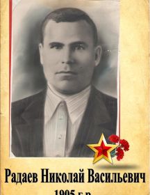 Радаев Николай Васильевич