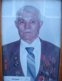 Боровик Василий Семенович