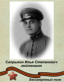 Сапрыкин Илья Степанович