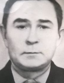 Воронин Владимир Иванович