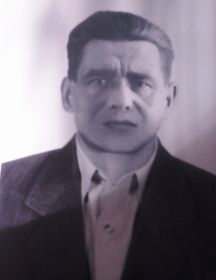 Курочкин Владимир Михеевич 