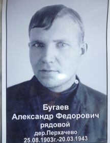 Бугаев Александр Федорович
