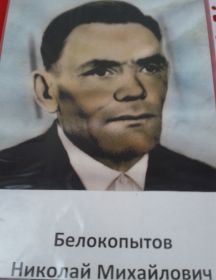 Белокопытов Николай Михайлович