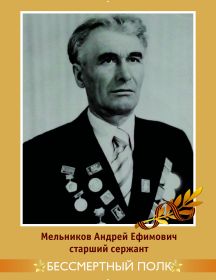 Мельников Андрей Ефимович