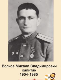Волков Михаил Владимирович 
