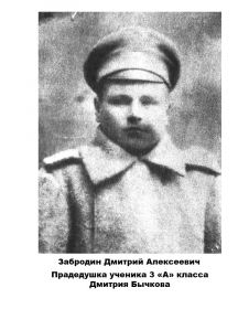 Забродин Дмитрий Алексеевич