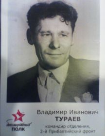 Тураев Владимир Иванович