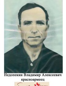 Недопекин Владимир Алексеевич