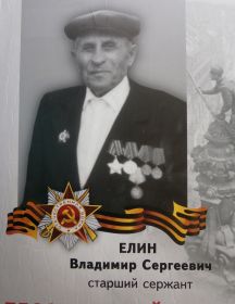 Елин Владимир Сергеевич