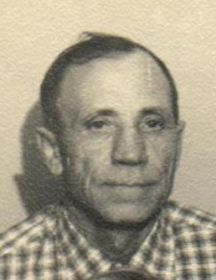 Дмитриев Дмитрий Петрович (1922-1975)