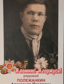 Полежанкин Александр Павлович