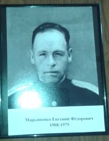 Марьяненко Евгений Федорович