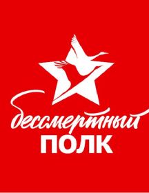 Воробьев Дмитрий Афанасьевич 