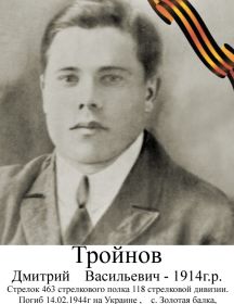 Тройнов Дмитрий Васильевич