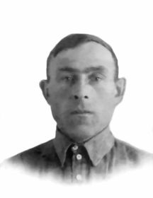 Воронов Николай Петрович