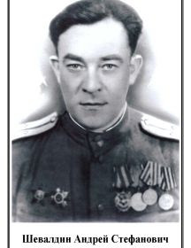 Шевалдин Андрей Стефанович