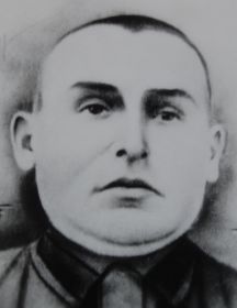 Ильин Николай Данилович