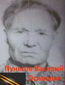 Пунегов Василий Осипович